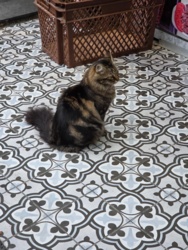 38d53987-6be6-4352-89f1-cd631e85b63d