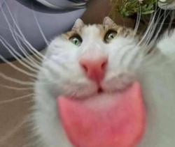 d2cbfde7-e451-4a51-bb6e-216ca9841c9b