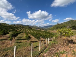 3341df71-fad0-40da-bb0b-8c17e44fb90c