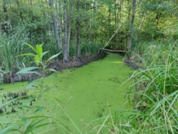 55a1a5f1-d319-4167-9bc7-959ddb1bc09d