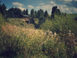 80ec4bfc-23ae-4987-b82f-ac0d22e74992