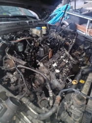 6a25dcf0-1dc0-4e5c-88d2-e3cfdb7e891e