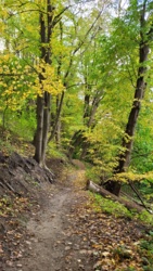 8211f27e-5b51-409e-a2c4-e711e03f47ec