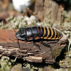 51fcca8b-be88-4fd8-a25f-e2683b46a311