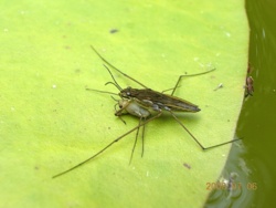 b6e70572-c7cc-4b97-916c-c5d230e7c7ee