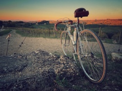 e8e1fa68-3497-40a2-b931-cdd10115363e