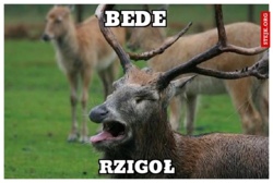 d6c7bdf9-e19e-4eb7-8ba2-72e2d54a7160