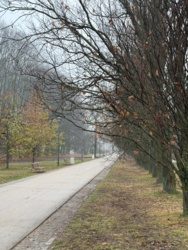 e270d66f-f0af-4e25-9c5e-2dab48c0819e