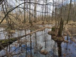 3f4e808d-d199-45b2-badd-62fa49ed7267