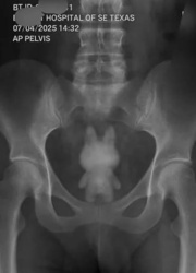 edaa79bb-84b3-4fb7-9870-2a12ae12a326