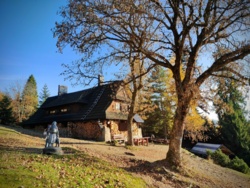 475bf98b-592a-41f7-b1a7-de63c3961c04