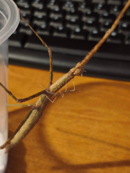 97abd75b-815e-4280-a104-9022cad7b567