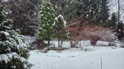 5ebb106b-6c81-44ac-8e77-974f3604fcef