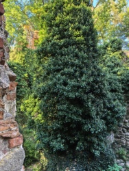 acc6da9e-8574-4616-bad5-dff4f3c2e96d