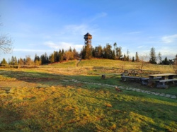 2a321969-dfe6-4691-b6a5-a36b4e75955a