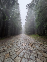 f95bf7d8-3ccb-414b-85fd-5477ce4c91c6