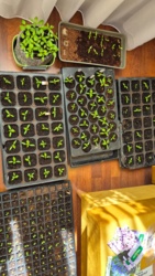 56b622e4-f0f7-401d-80ef-d886dd8212a1