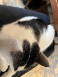 d6a05cda-4186-486e-b7c9-92ab8e9877d6