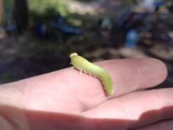 23b94bcb-37a5-464d-abbd-7bce27a48452