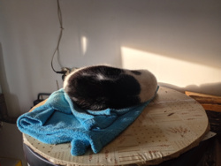 fcc2fc3f-1ef8-4393-b23e-f31591ffa07e