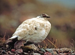 15f13be9-0ac2-44db-b235-8633bb37dd1b