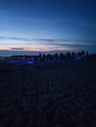 bd0b48b6-6002-493e-8b52-80bb2187ae2d