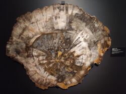 9691365f-b9cd-4715-abdb-7308c0acb83d