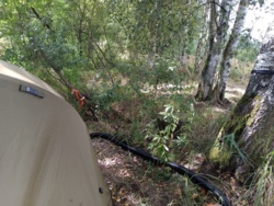 275576e6-8240-49d3-a083-eef705206b3b