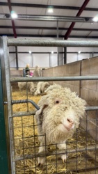 992e8ab5-16d6-4318-90a8-946ea2c37605