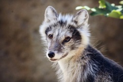 3065d833-9a8c-4bb9-8fdc-8e7f03ada633