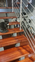 7ab67b7d-9def-4015-b8c9-39f0bf35814e