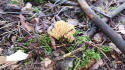 d7955f35-1637-4963-99af-764af4834e6b