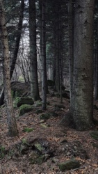 5c00537d-a523-4aa2-8a2d-243f5fd71341