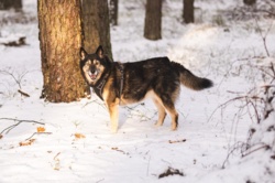 5ffaf586-0bce-46f6-9c2a-ec5ee942cdca