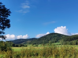 8f3bb1f1-d9ea-403e-b8f5-f736fbcdd245