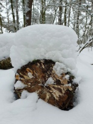 6d370eda-030f-4cd2-8ad6-2b2a0742518f