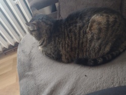 9457e5e4-6aa7-46e1-95ff-6f857109b501