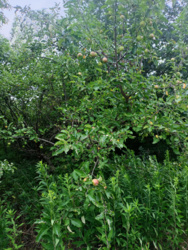 ca0f3b6c-4199-4047-8543-4b1f9e5441ae