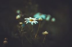 1b6f88ba-7667-47a5-88fb-3d6fc9c62faf