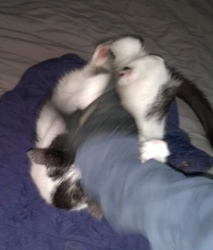 5f538655-ca86-4ae9-98a8-ce13982e71fb