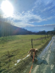 252151ae-3863-426d-b9ae-c524772fd9ef