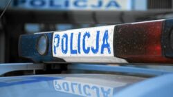 Skrył się w lesie i znieważał policjantów. 34-latkowi grożą nawet trzy lata więzienia