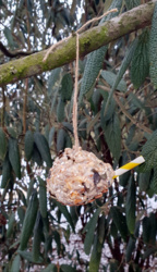 2beed8c9-c1b5-4db0-a3df-aa3b478e165f