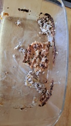 05a6188a-a857-48cf-8ab2-606b94da209f