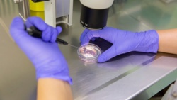 Polak pozywa klinikę in vitro. Nie wiedział, że zostanie ojcem