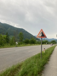 f9d8c0b2-5a72-4404-b31f-ddd1c03de0c3