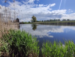 69c0e118-f279-4ac4-bc12-45862c576f75