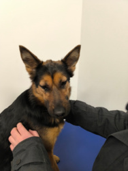 c1e20223-7736-4211-b5ef-e4e4bdab57f4