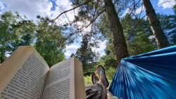 a8a4f5e6-6bb5-4cbc-9d4a-436dc22086ae