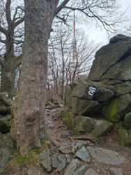 b2b05877-e119-4bdc-928a-0f8e2c545b11